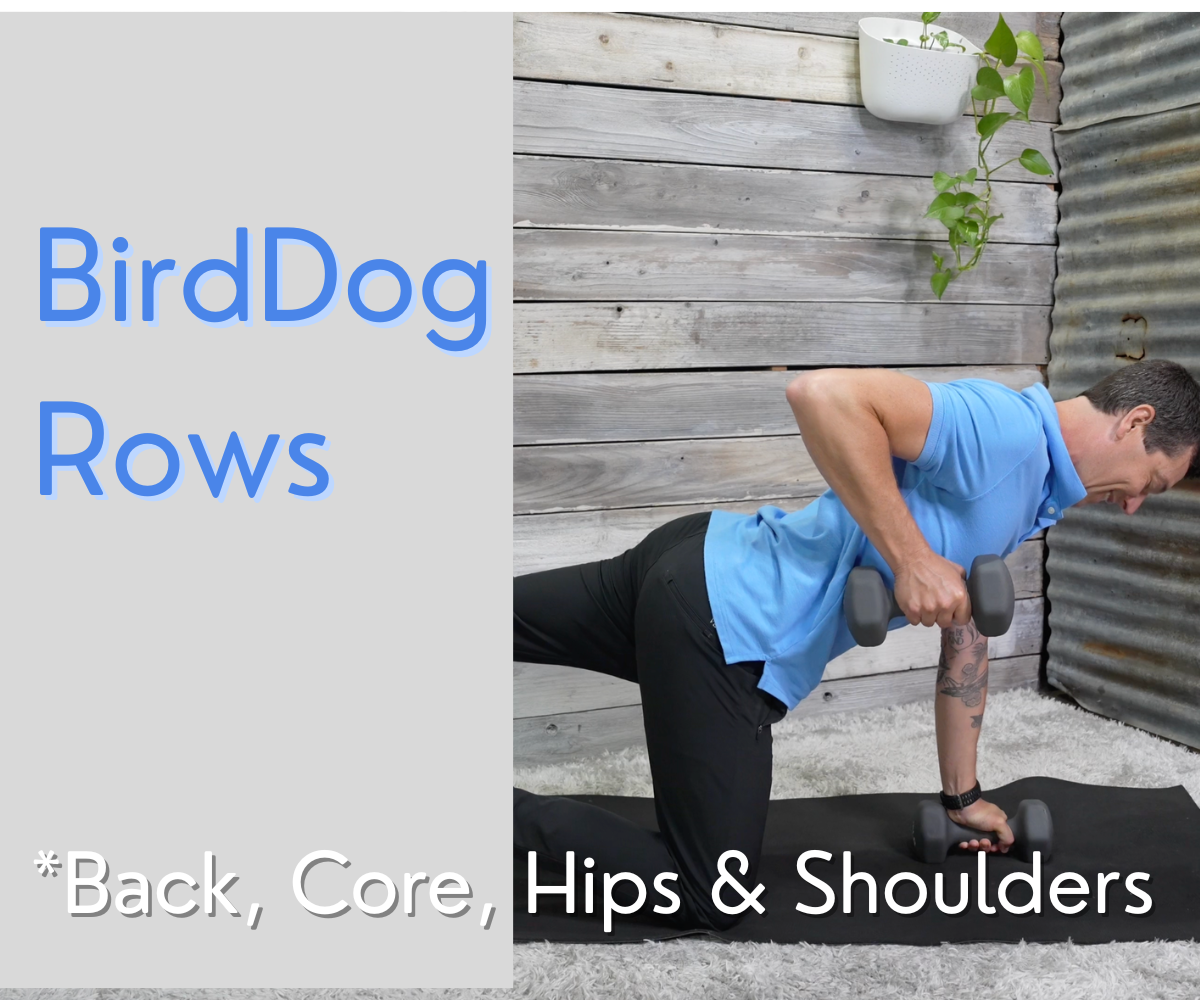 birddog rows exercise for back, core and hip strengthening plus posture improvement